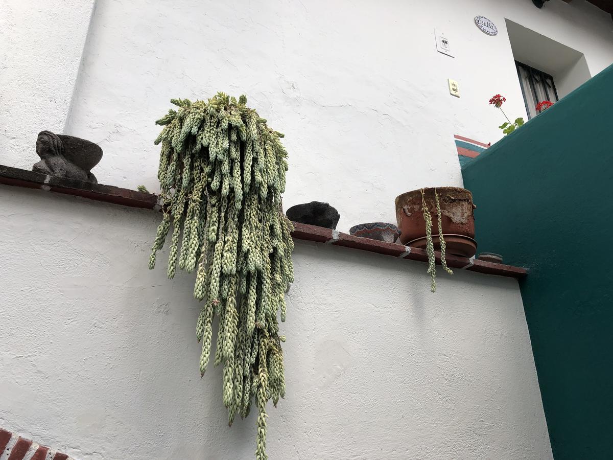 Apartamento Meson del Penasco Oaxaca Exterior foto